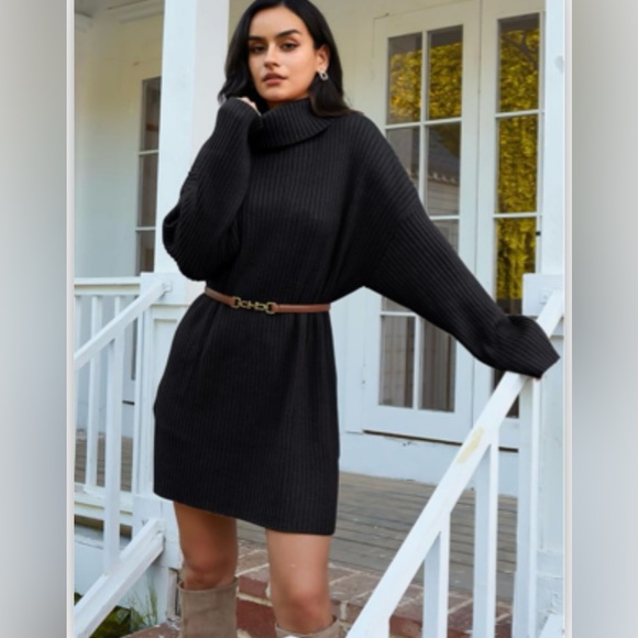 NWOT Turtleneck Oversized Long Batwing Sleeve Dress - Picture 4 of 4